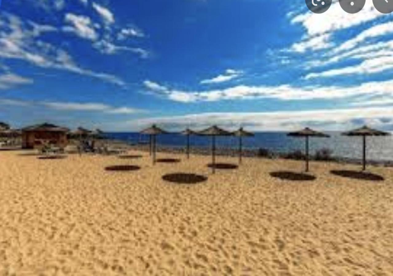 Sweet Caroline Daire San Miguel De Abona Dış mekan fotoğraf